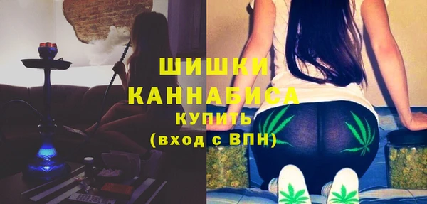 гашик Арсеньев
