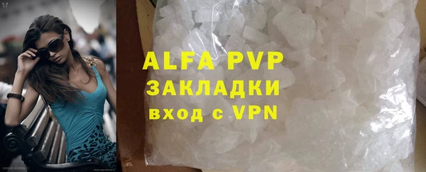 гашик Арсеньев