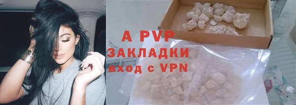 гашик Арсеньев