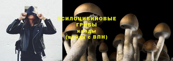 гашик Арсеньев