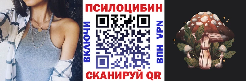 Псилоцибиновые грибы Psilocybine cubensis  Купить  Верхний Уфалей 