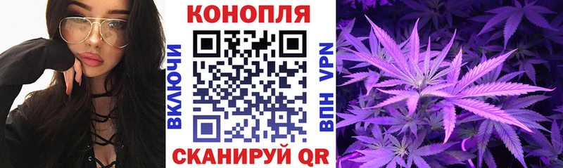 Бошки Шишки MAZAR  Купить где  Верхний Уфалей 
